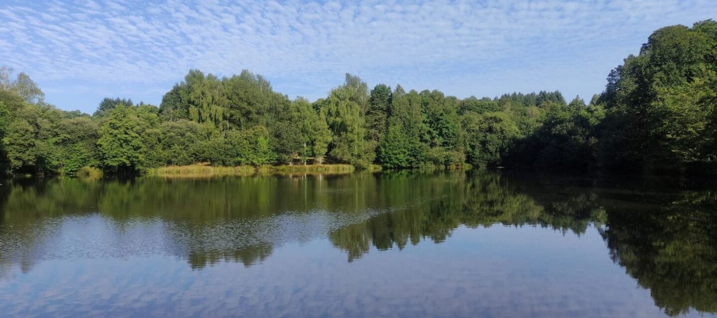 Compton’s Lake