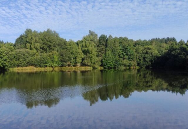 Compton’s Lake - Image 7