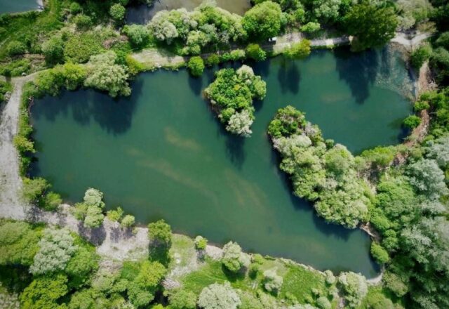 Carp Somnium - Image 1