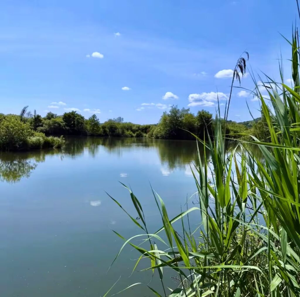 Planning a Carp Fishing Holiday to France — How Far in Advance Should You Book?