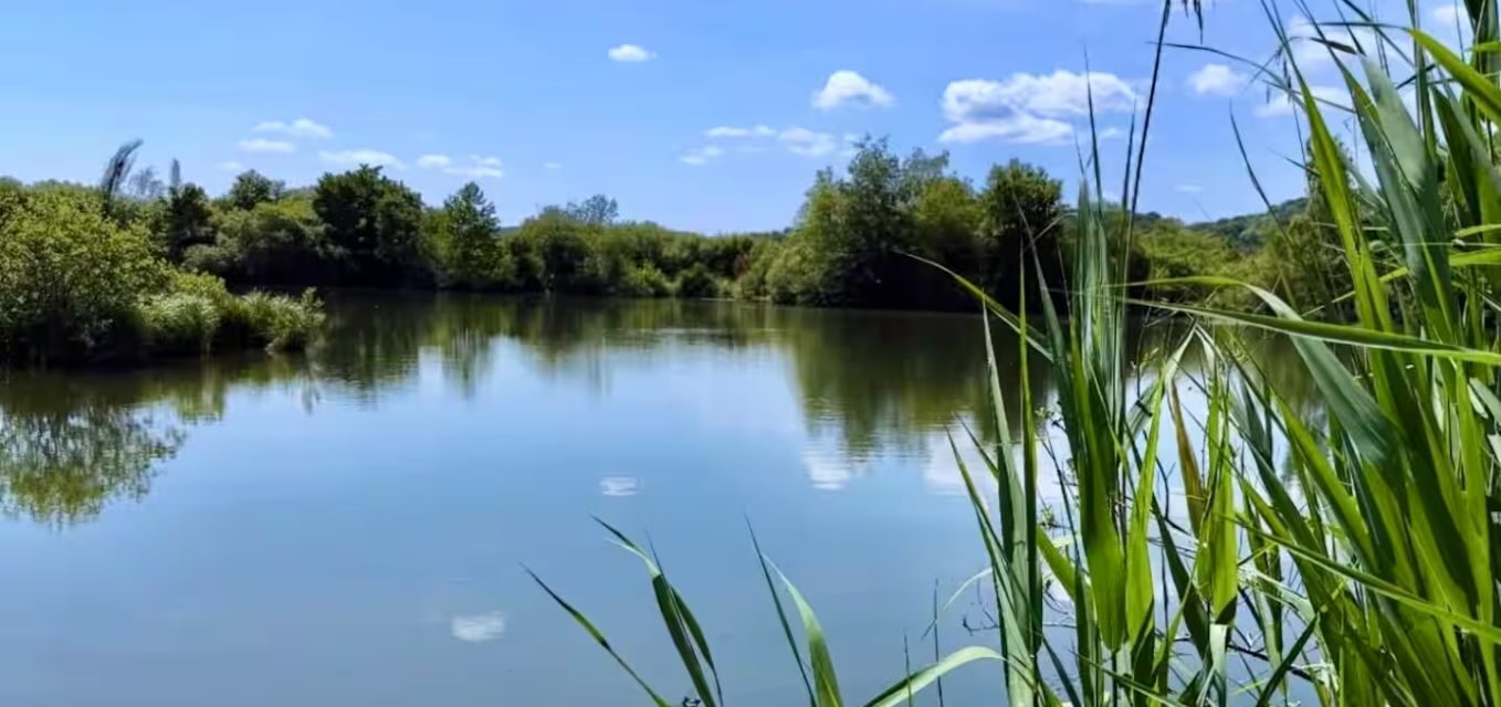 Luxury Fishing Haven