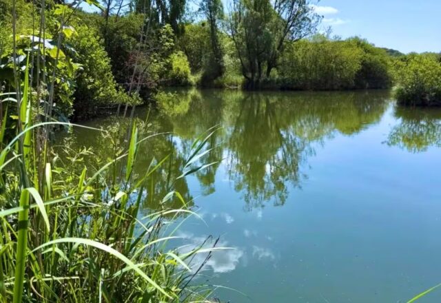 Luxury Fishing Haven - Image 5
