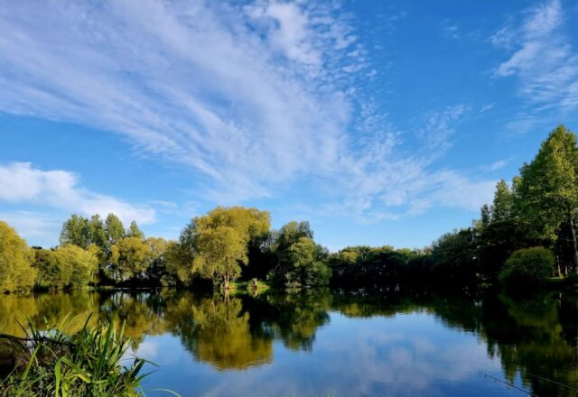 Oakview Lake - Image 8