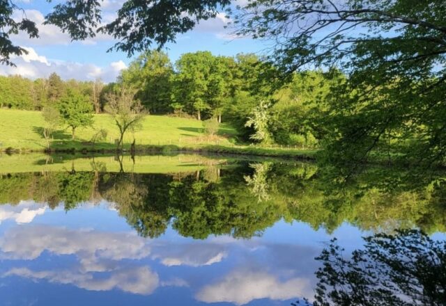 Old Castle Lake - Image 1