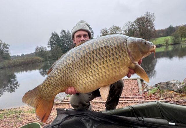 Old Castle Lake - Image 4