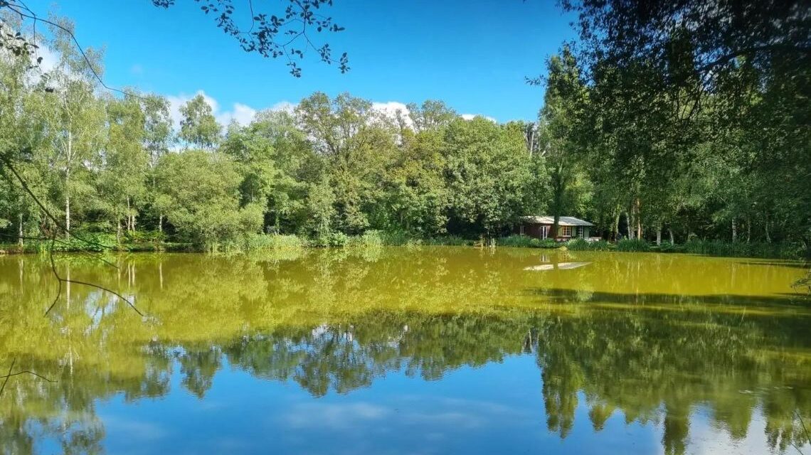 Orchard Lake (Famous Five)