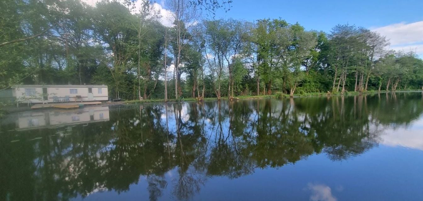 Poplars (Famous Five)