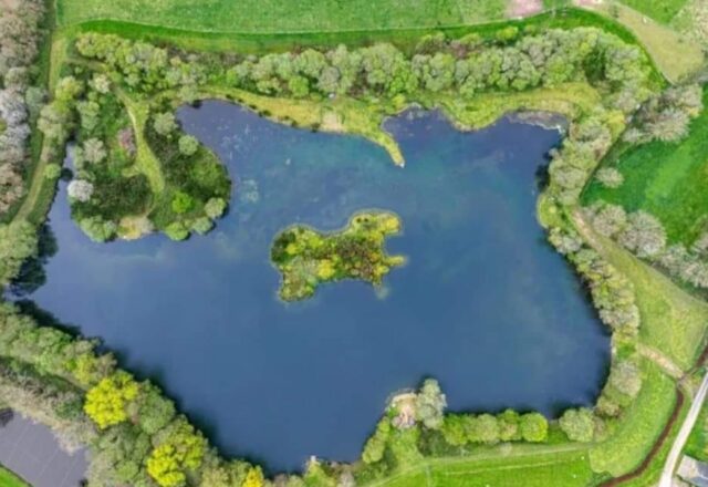 St Brice Carping - Image 5