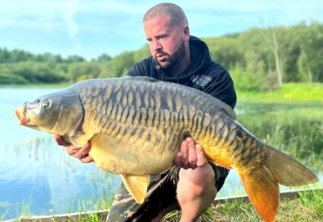 St Brice Carping - Image 1