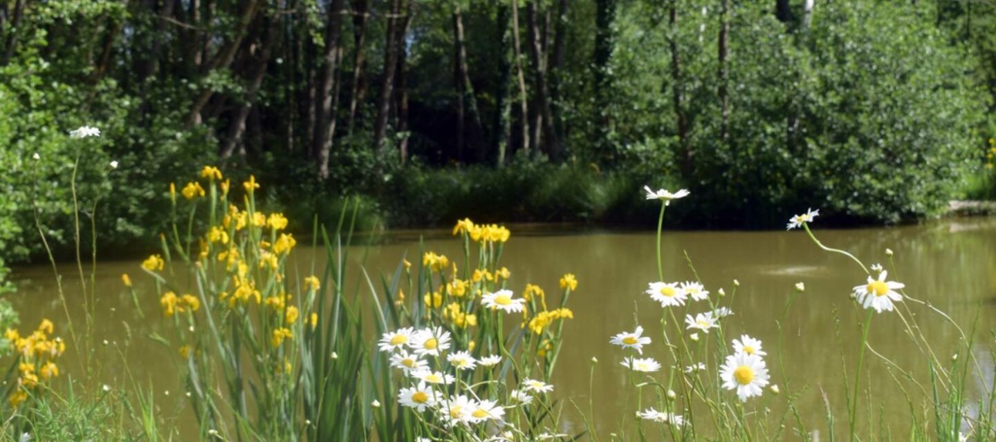 Barbret Lake - Photo 14