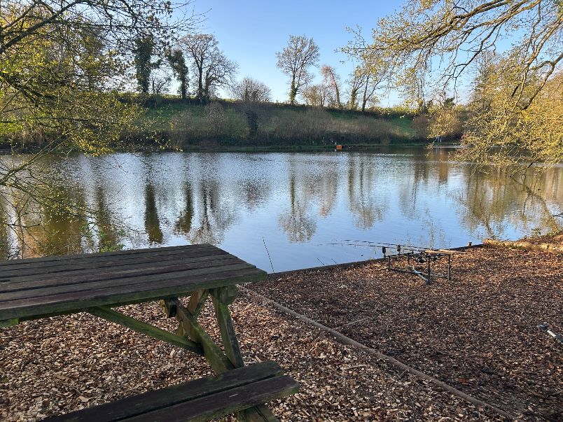Oak Tree Lakes - Photo 16