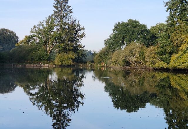 Oak Tree Lakes - Image 1