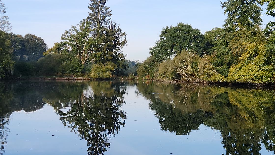 Oak Tree Lakes