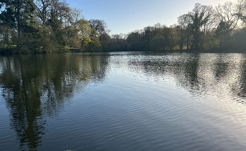 Oak Tree Lakes