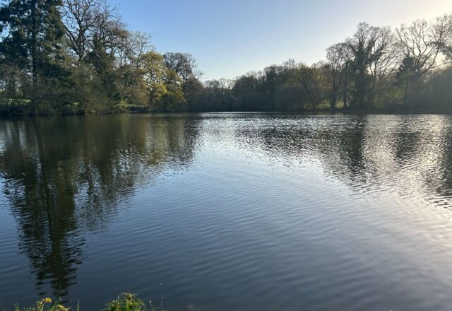 Oak Tree Lakes - Image 6