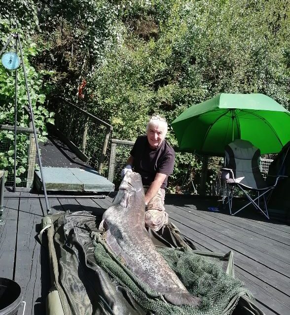 Quarry Bank Carp Pool - Photo 16