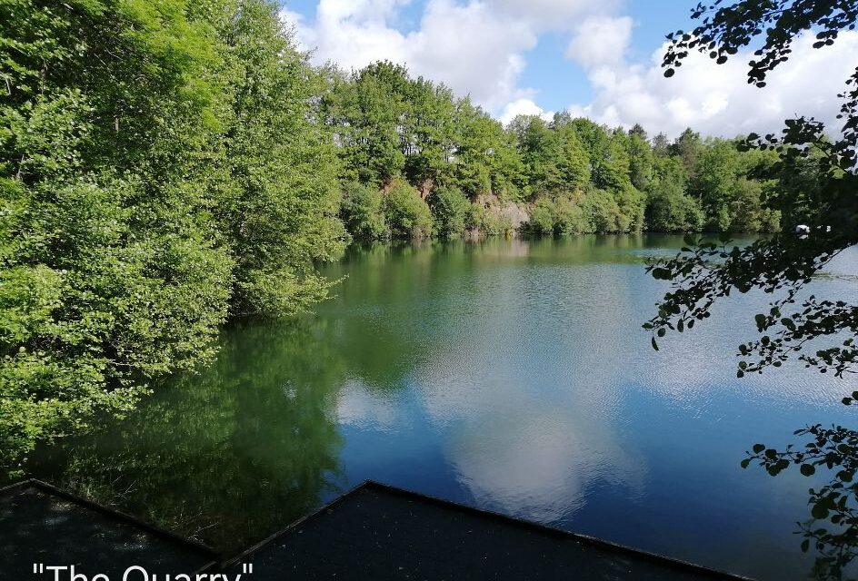Quarry Bank Carp Pool - Photo 15