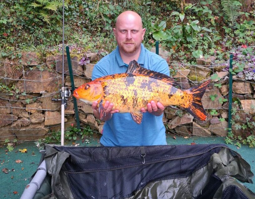 Quarry Bank Carp Pool - Photo 11