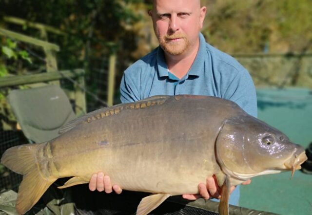 Quarry Bank Carp Pool - Image 8