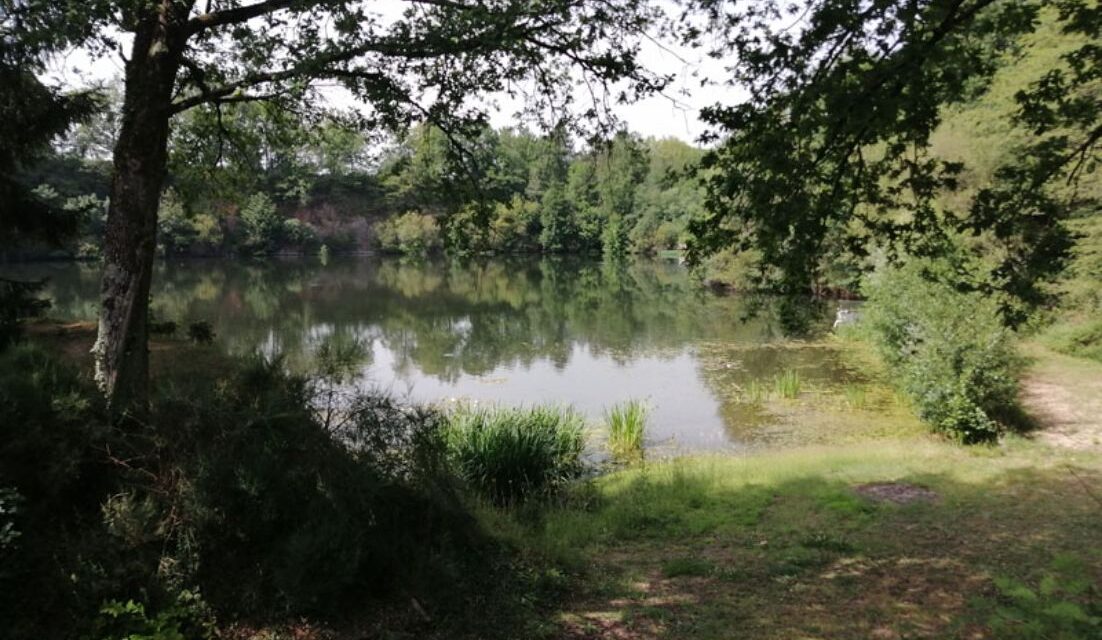 Quarry Bank Carp Pool