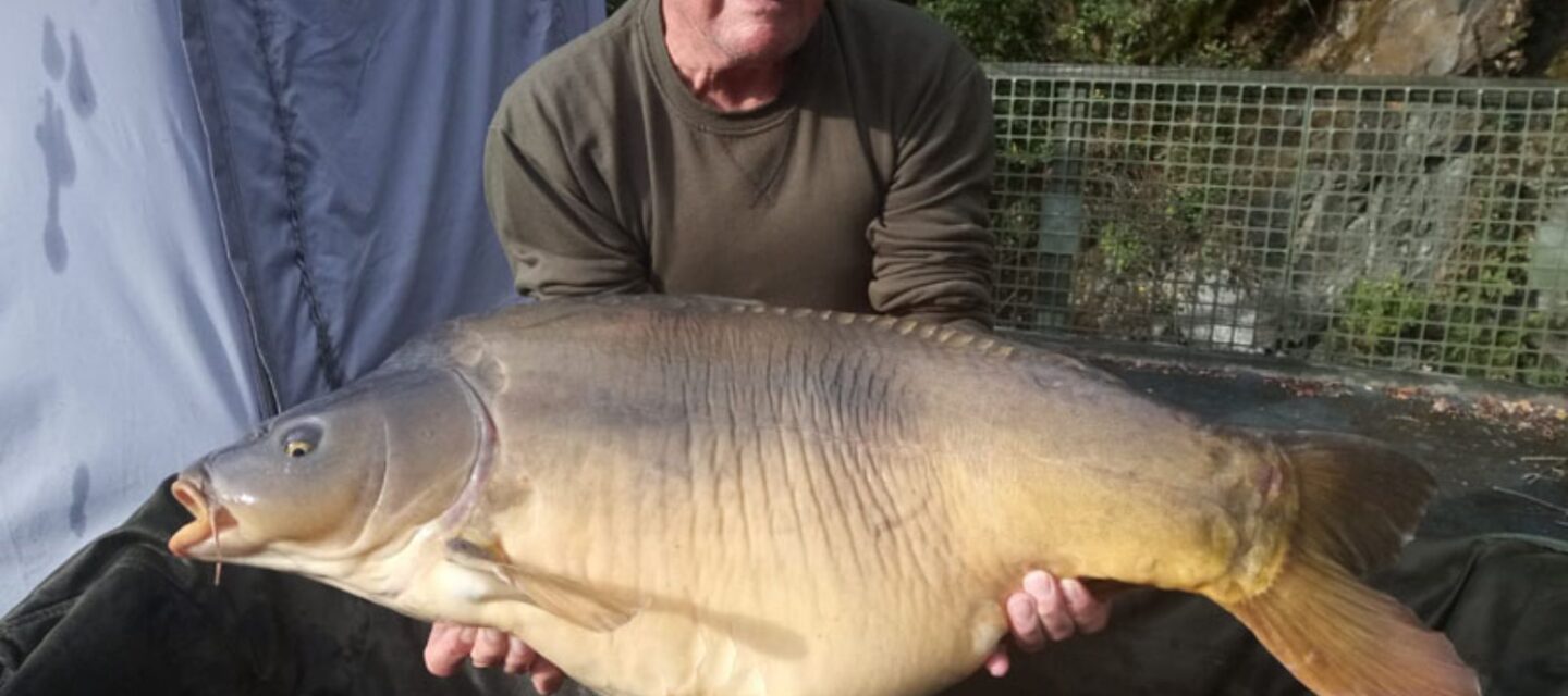 Quarry Bank Carp Pool