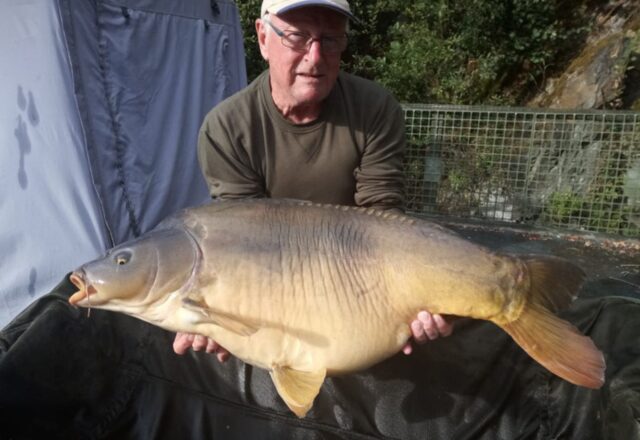 Quarry Bank Carp Pool - Image 3