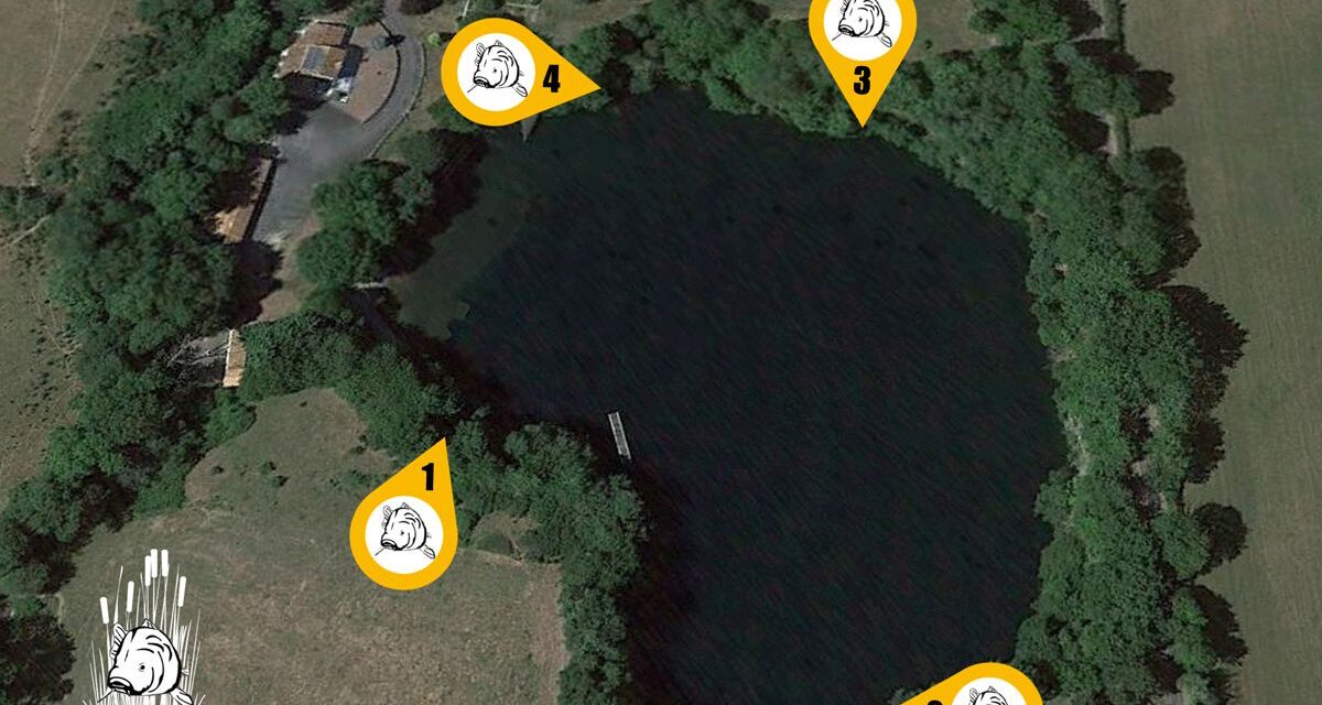Quarry Bank Carp Pool - Photo 13