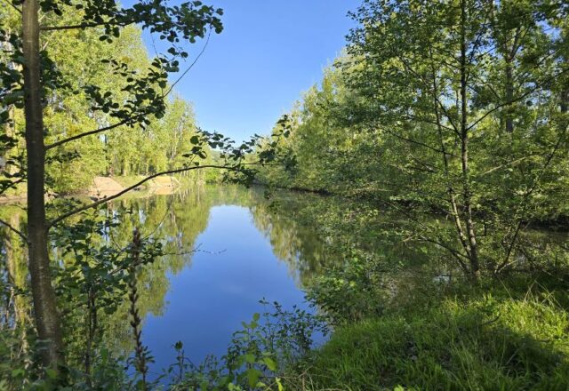 Lac Olivia - Image 4