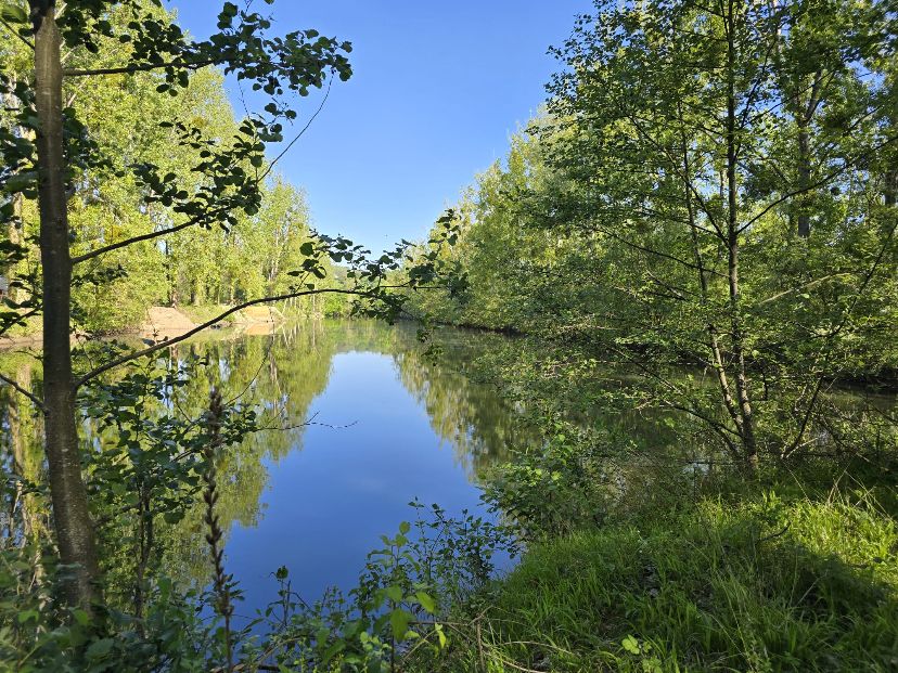 Lac Olivia