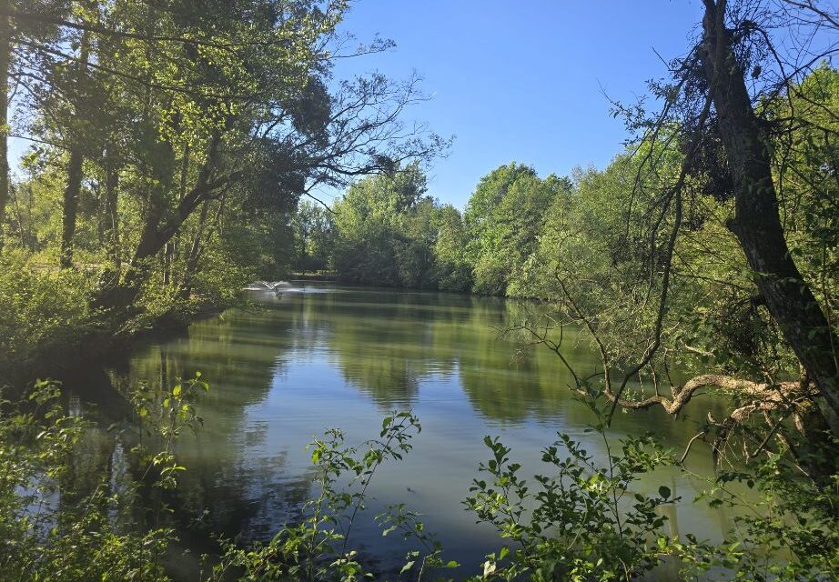 Lac Olivia