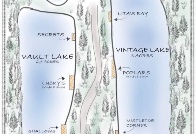 Lac Olivia - Image 7